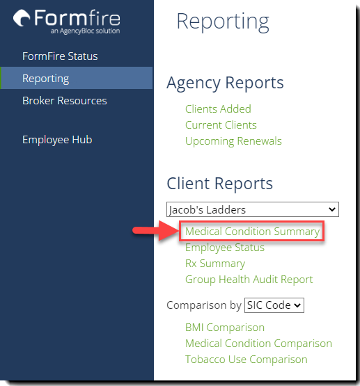 Screenshot showing the Medical Condition Summary link on the Reporting page