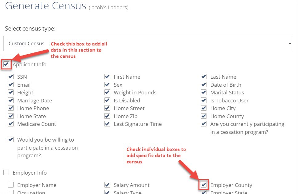 Screenshot showing the custom census data options