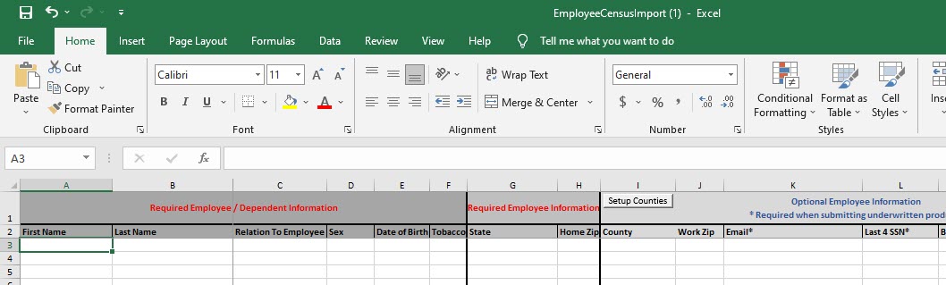 Screenshot showing the Employee import template