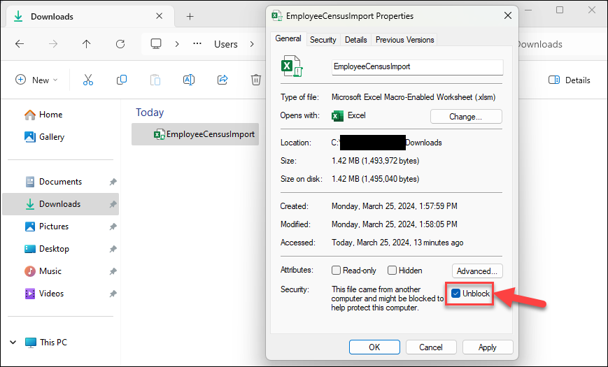 Screenshot showing how to unblock macros in an Excel file's properties