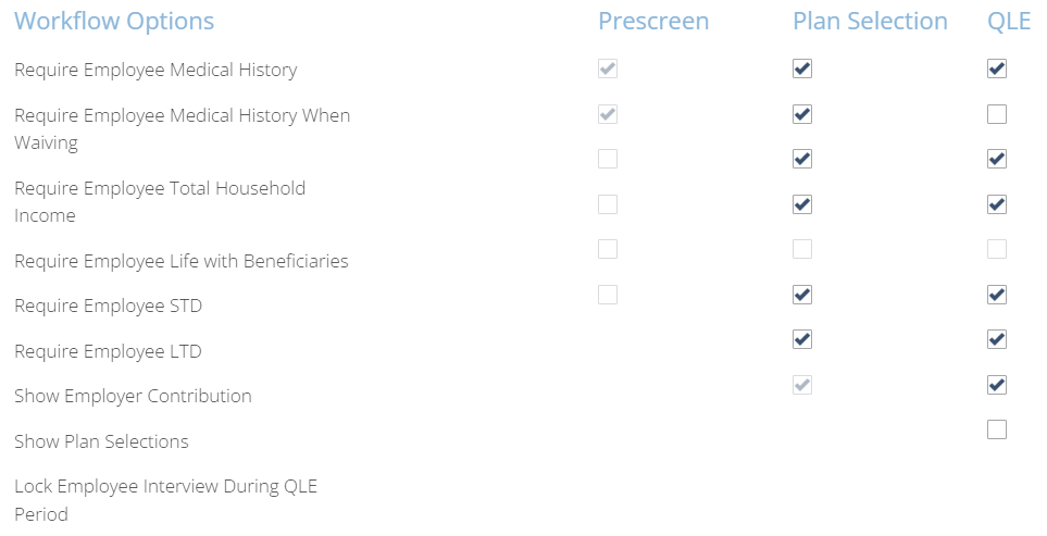 Screenshot showing Workflow Options