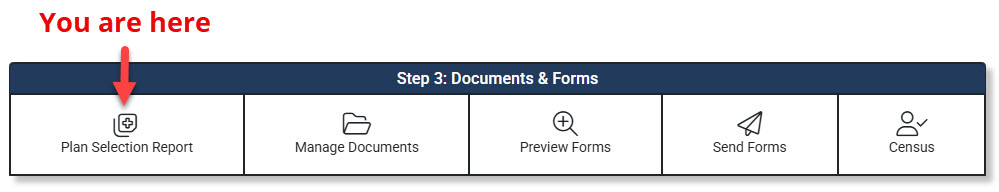 Screenshot highlighting the Plan Selection Report link in the Enrollment Hub